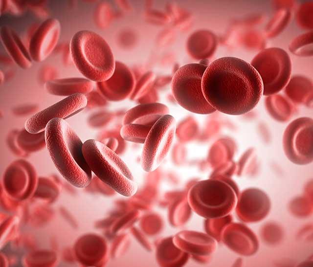 Anti-e (küçük) Monoklonal Kan Gruplama Reaktifi